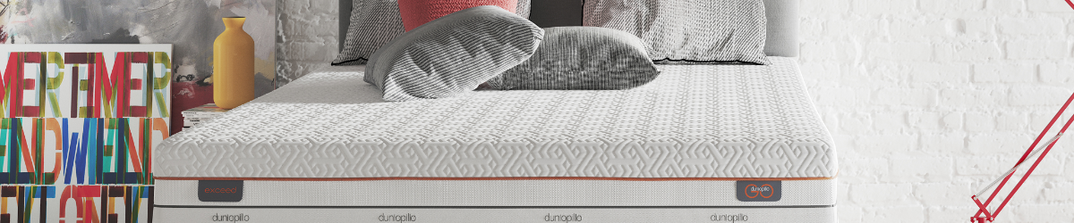 Single Divan Bases