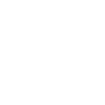 Search Icon